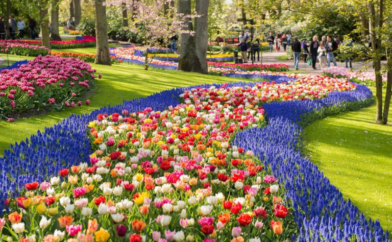 Best places to visit in Netherlands outside Amsterdam Keukenhof park