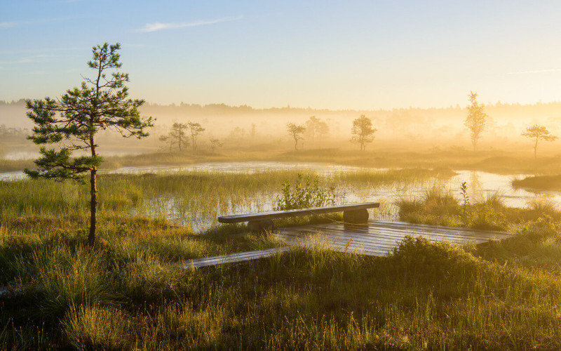 Is Estonia worth seeing? Lahemaa National Park