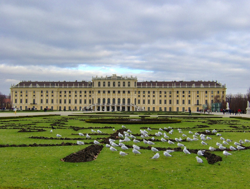 What should see in Vienna? Schonbrunn Palace