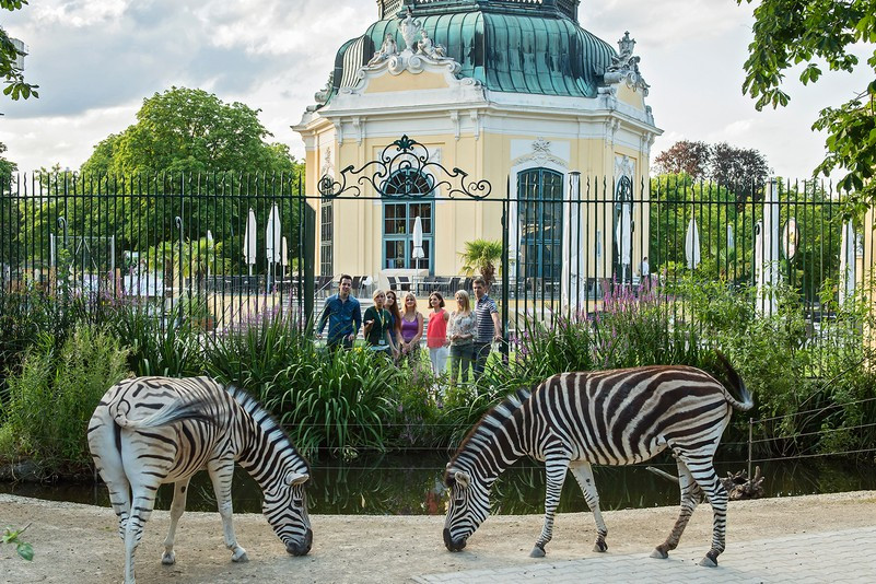 Is Vienna worth seeing? Schönbrunn Zoo