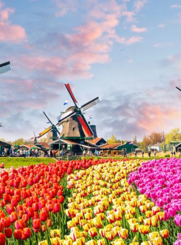 WHAT TO SEE IN NETHERLANDS